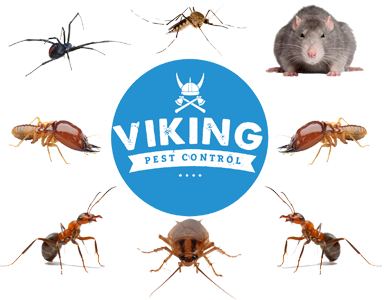 viking logo